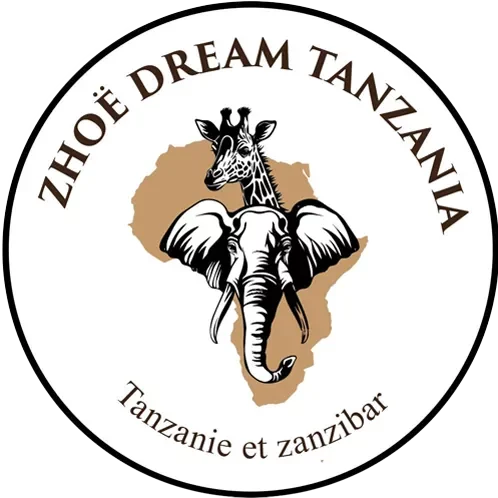 Zhoe Dream Tanzania
